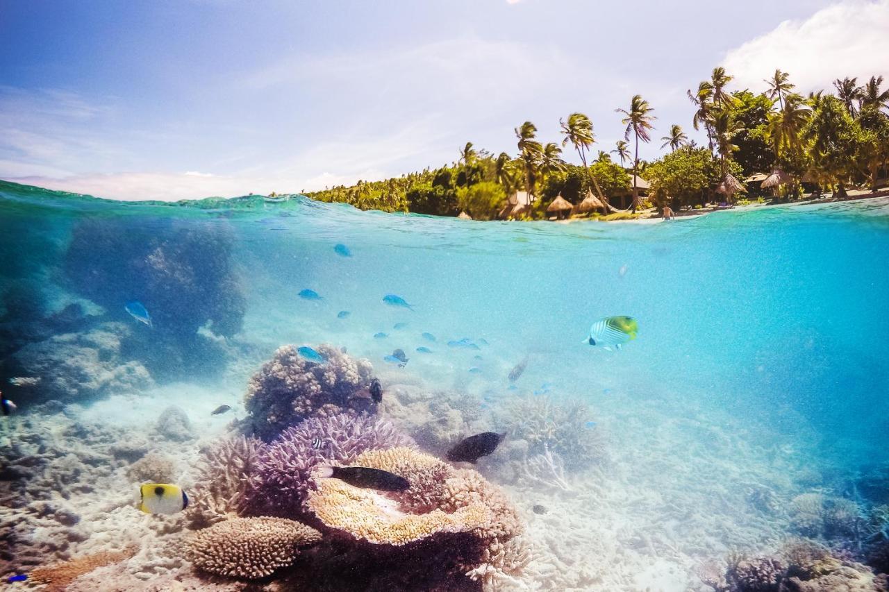 Paradise Cove Resort Naukacuvu Island Exteriér fotografie